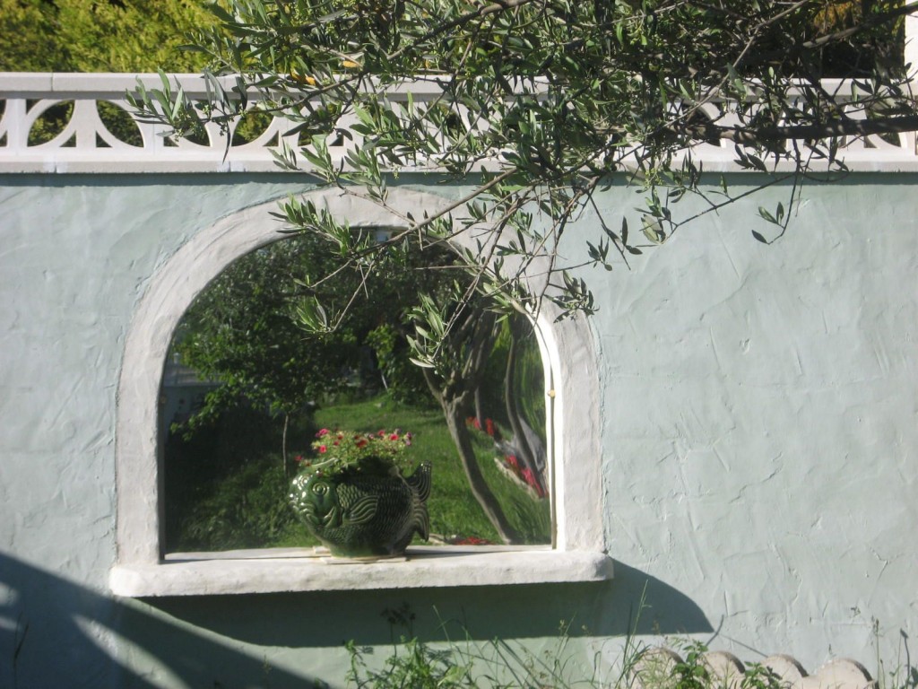 miroirs-et-nenuphare-006